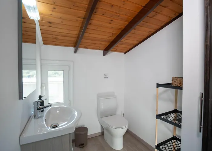 Garden Olive Luxury *